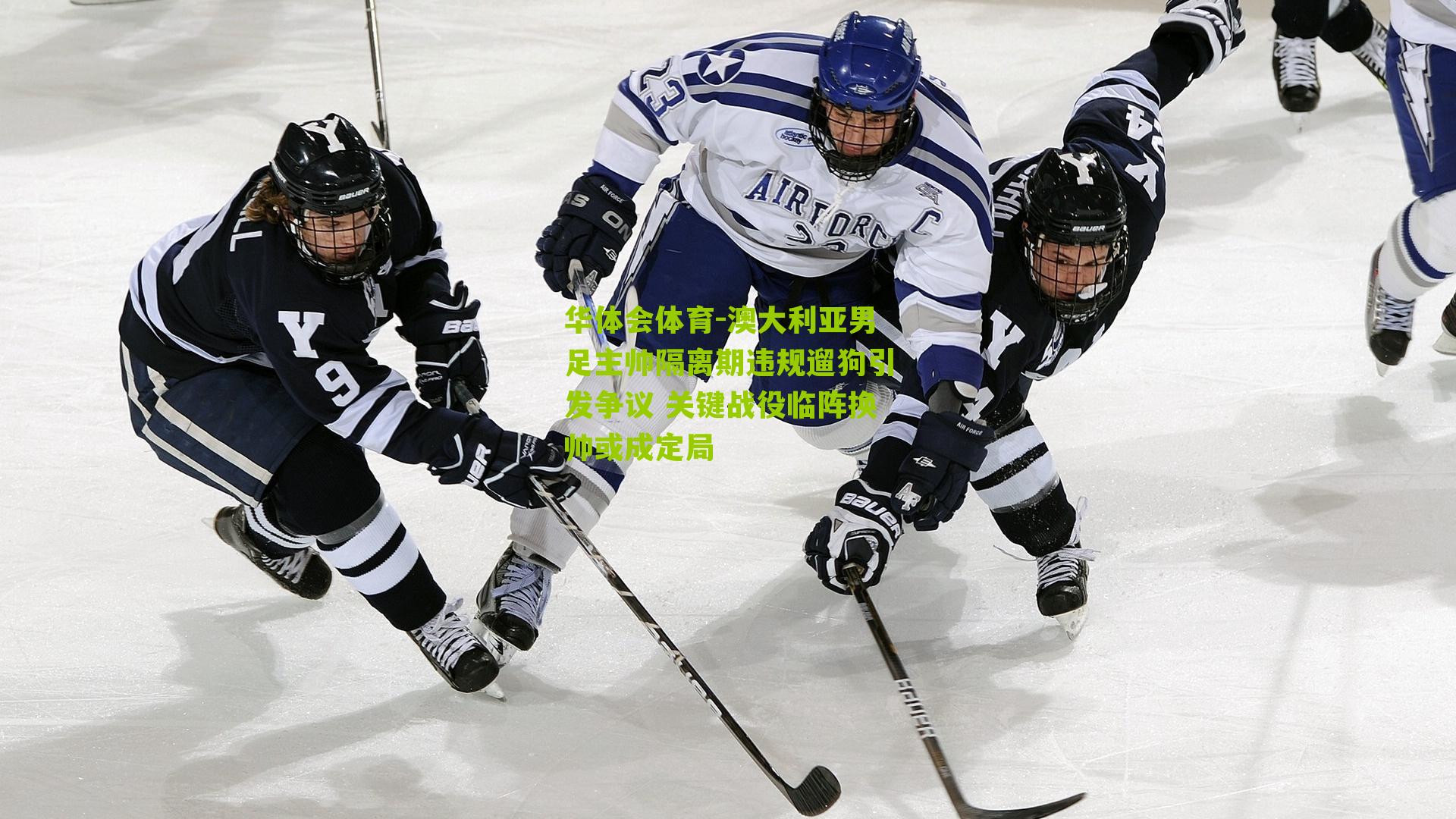 华体会体育-澳大利亚男足主帅隔离期违规遛狗引发争议 关键战役临阵换帅或成定局