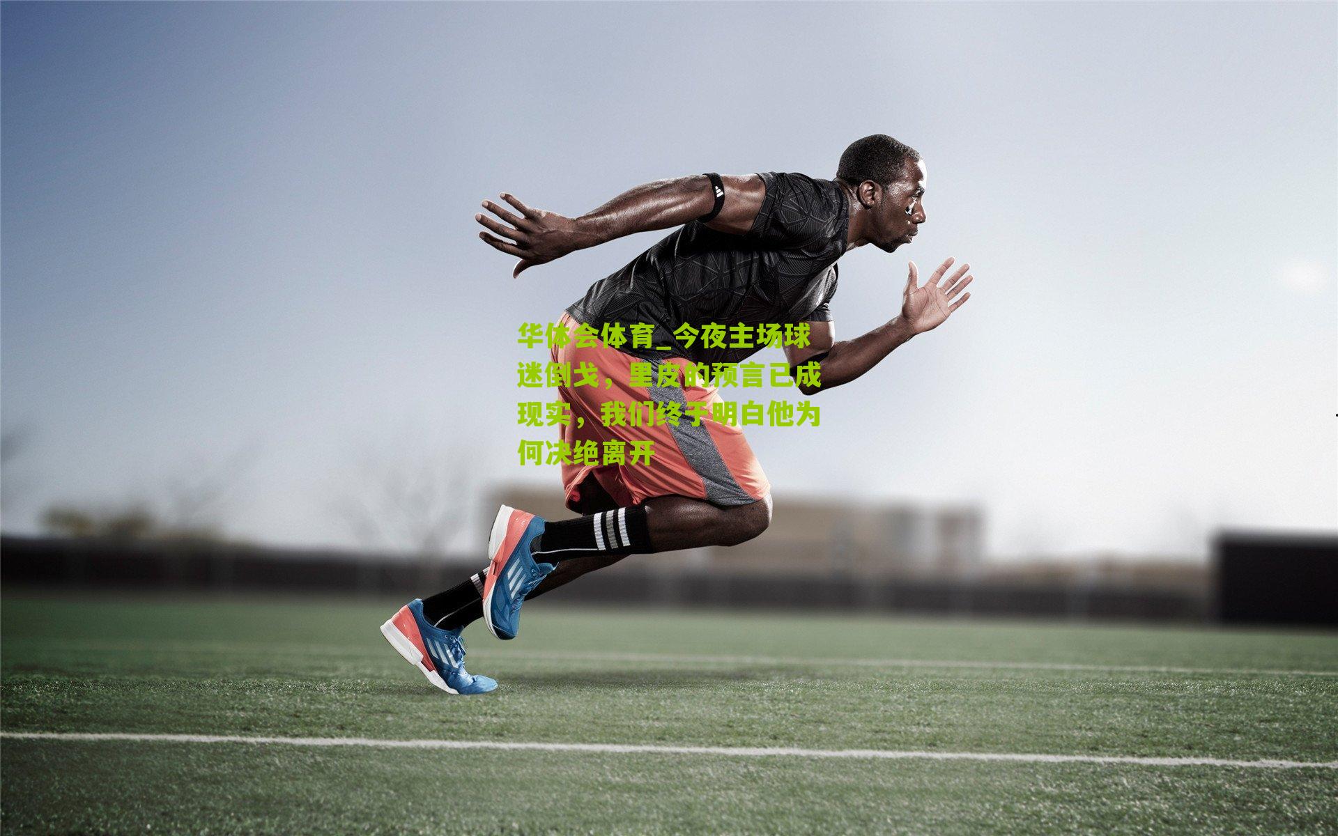 今夜主场球迷倒戈，里皮的预言已成现实，我们终于明白他为何决绝离开